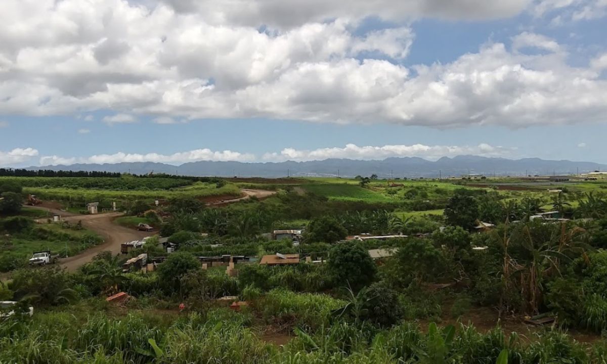 Articles Kunia Loa Ridge Farmlands