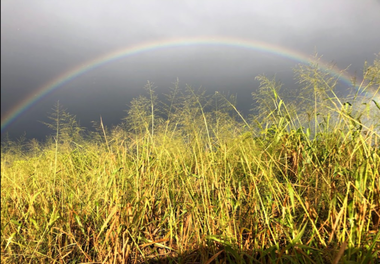 KUNIA LOA RIDGE FARMLANDS ASSOCIATION RULES Kunia Loa Ridge Farmlands