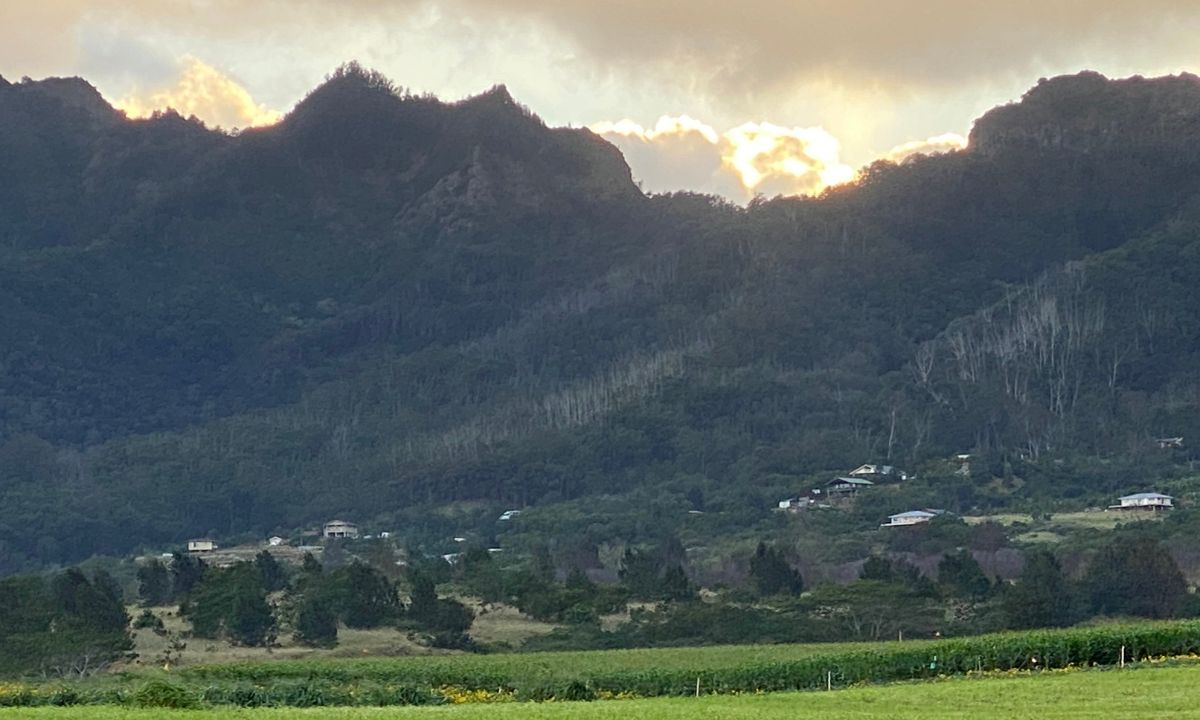 About Kunia Loa Ridge Farmlands