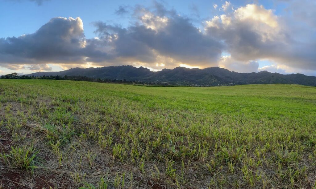 About Kunia Loa Ridge Farmlands