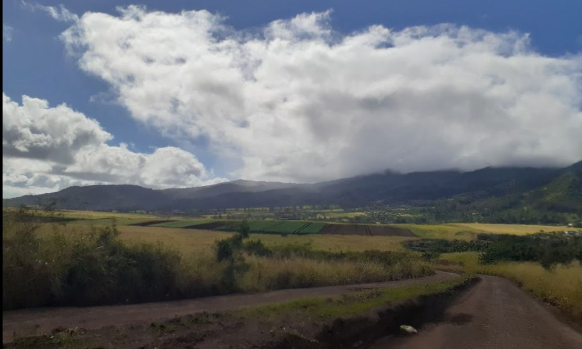 About Kunia Loa Ridge Farmlands