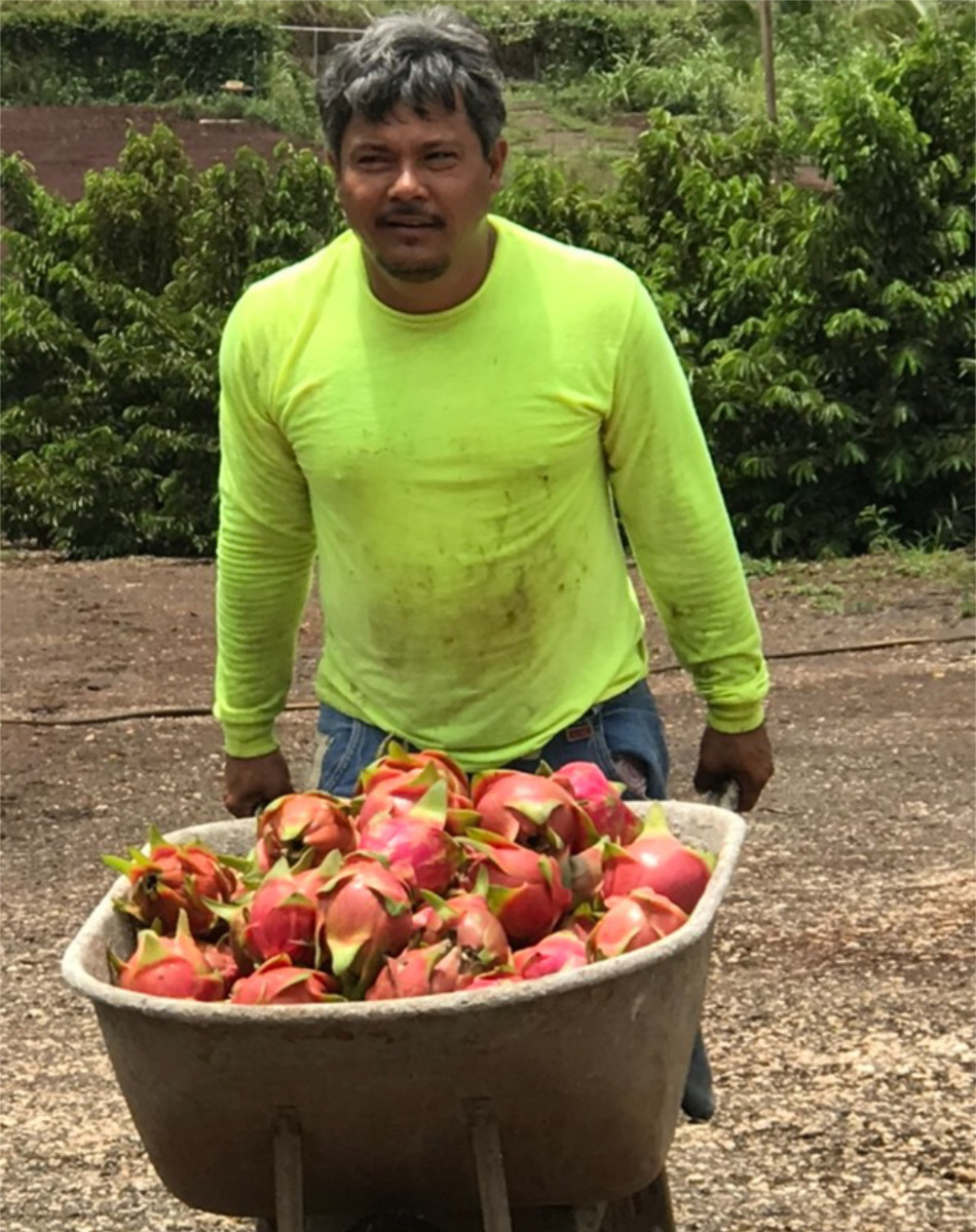 Kunia Loa Ridge Farmlands Seeking the best for our Families, our